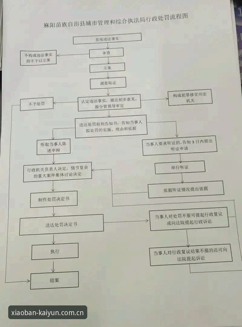 下班回家第一件事数据站评测实用指南——从选择到决策的完整路线图